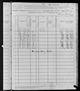 Census - 1880 United States Federal, Snellen Marion Johnson Sr Family.jpg